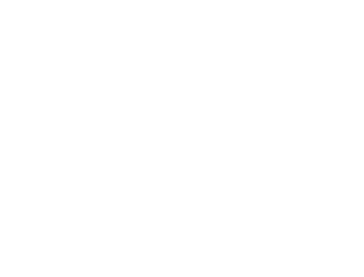 Sailing Virgins logo — light on dark background