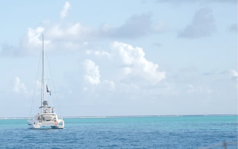 Reading Wind and Wave Patterns: Weather-Routing Fundamentals