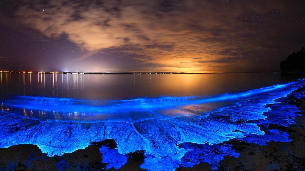 5 Spectacular Things You'll See on Night Watch