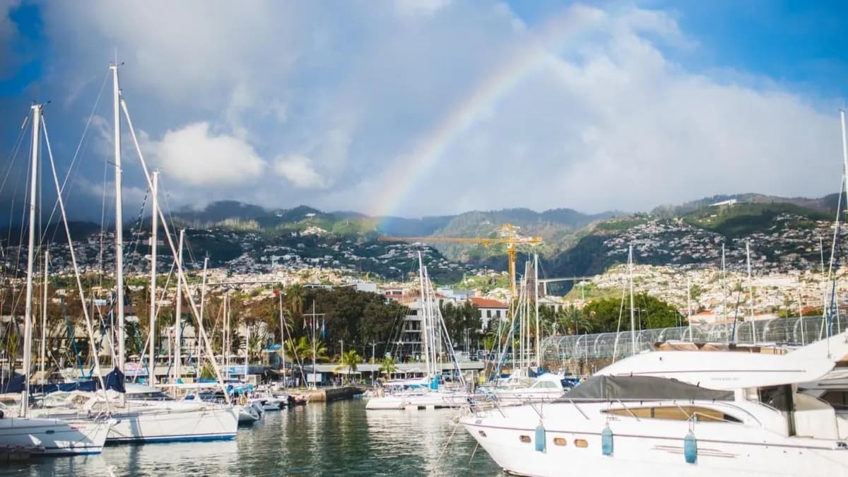 How to Dock a Catamaran vs. a Monohull (Key Differences)