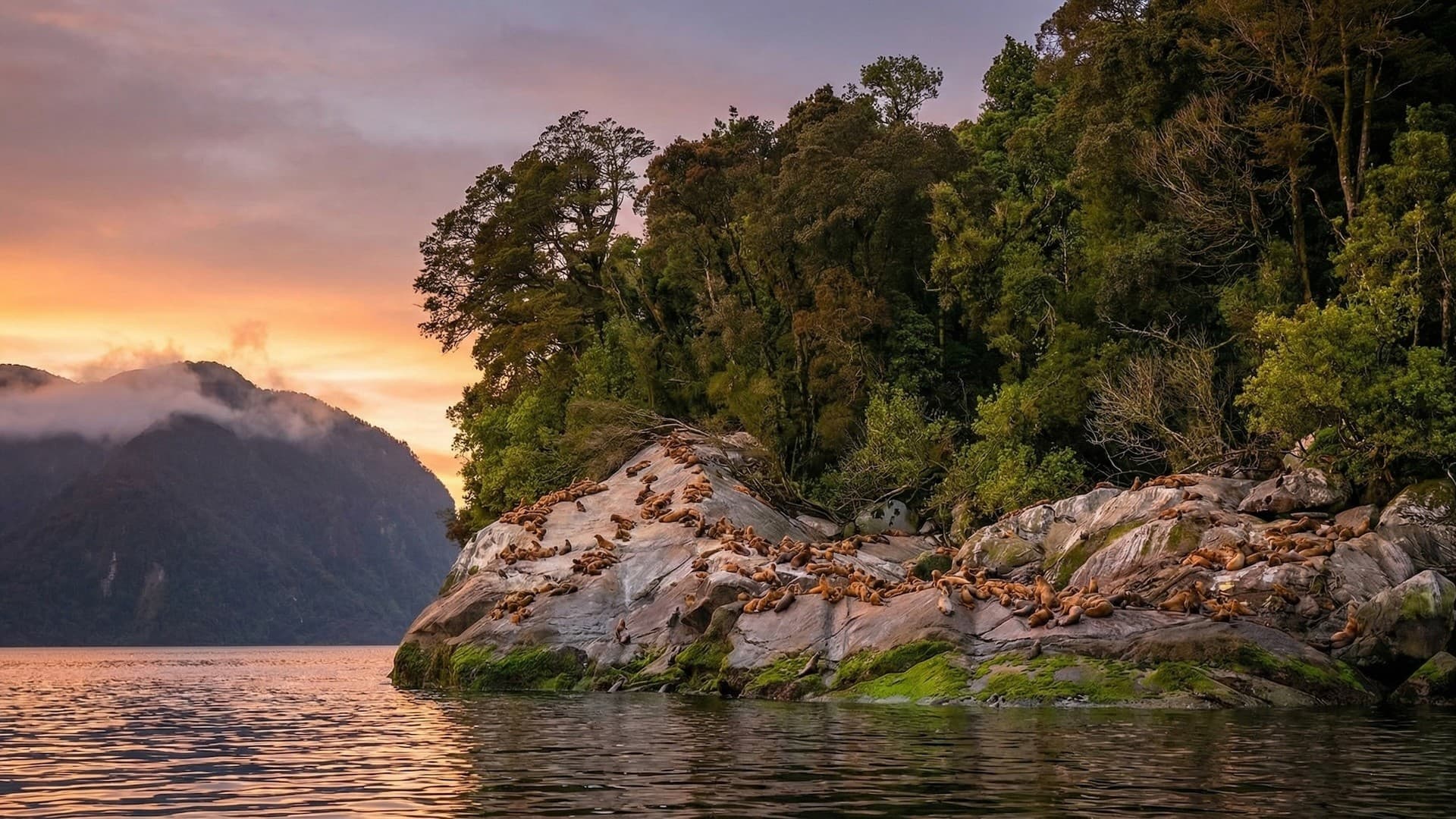 Patagonia